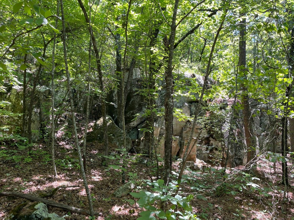 Picture 41