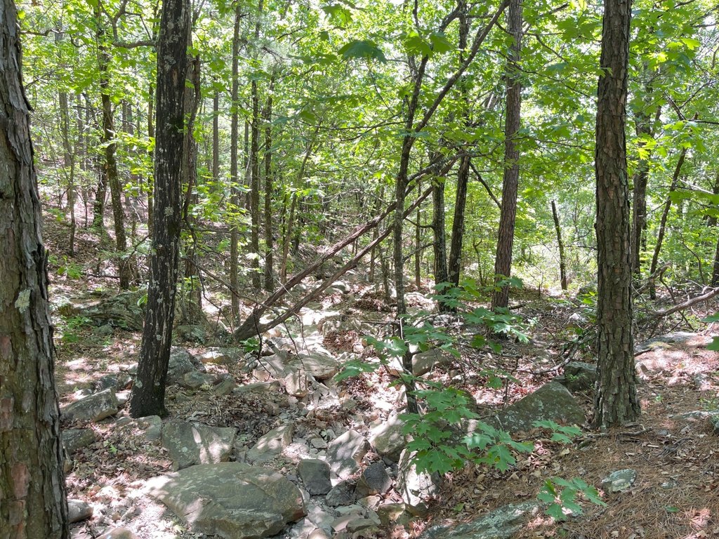 Picture 23