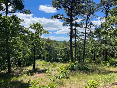 Mountain View Recreational Land
