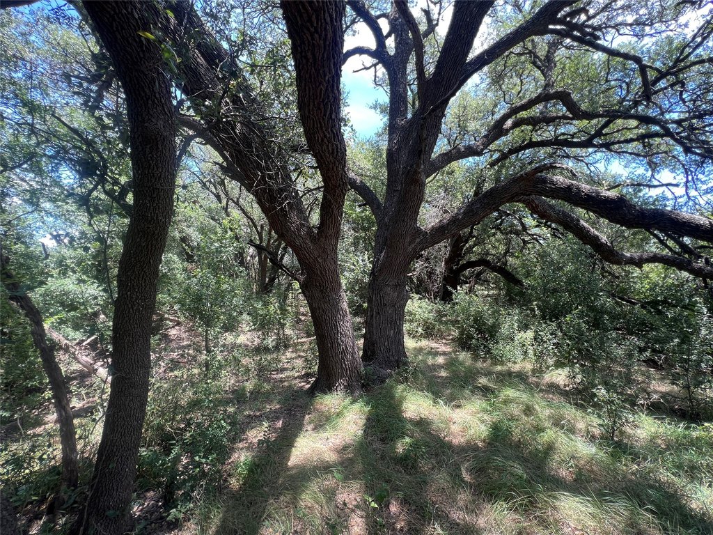 Picture 19