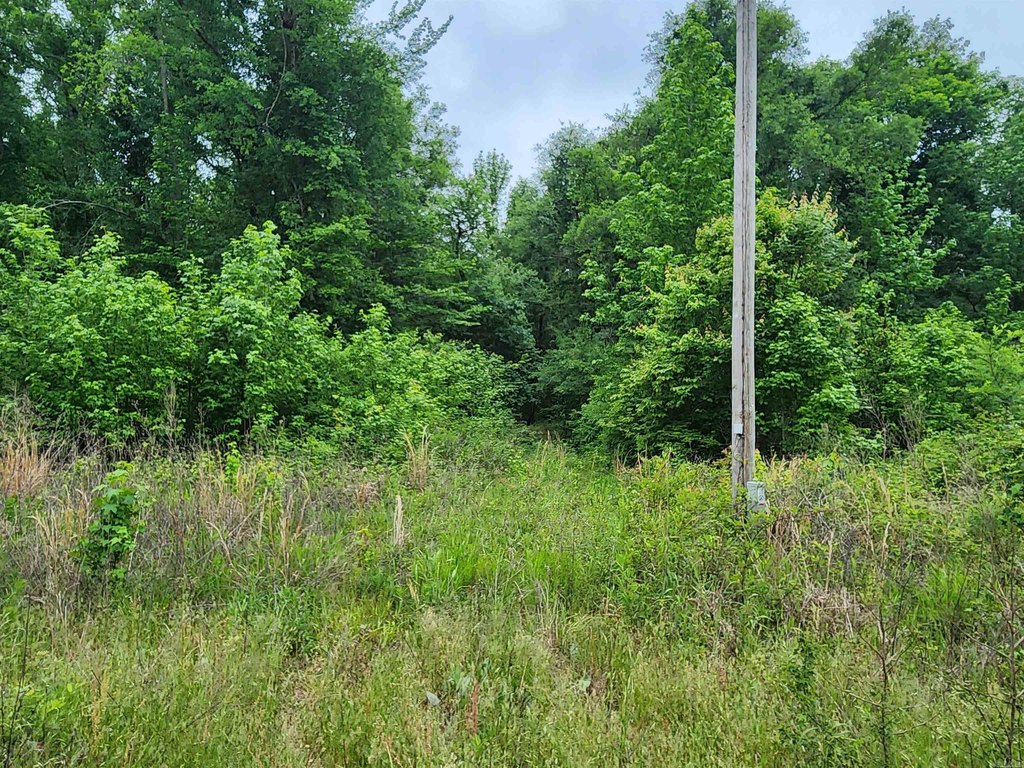 Picture 7