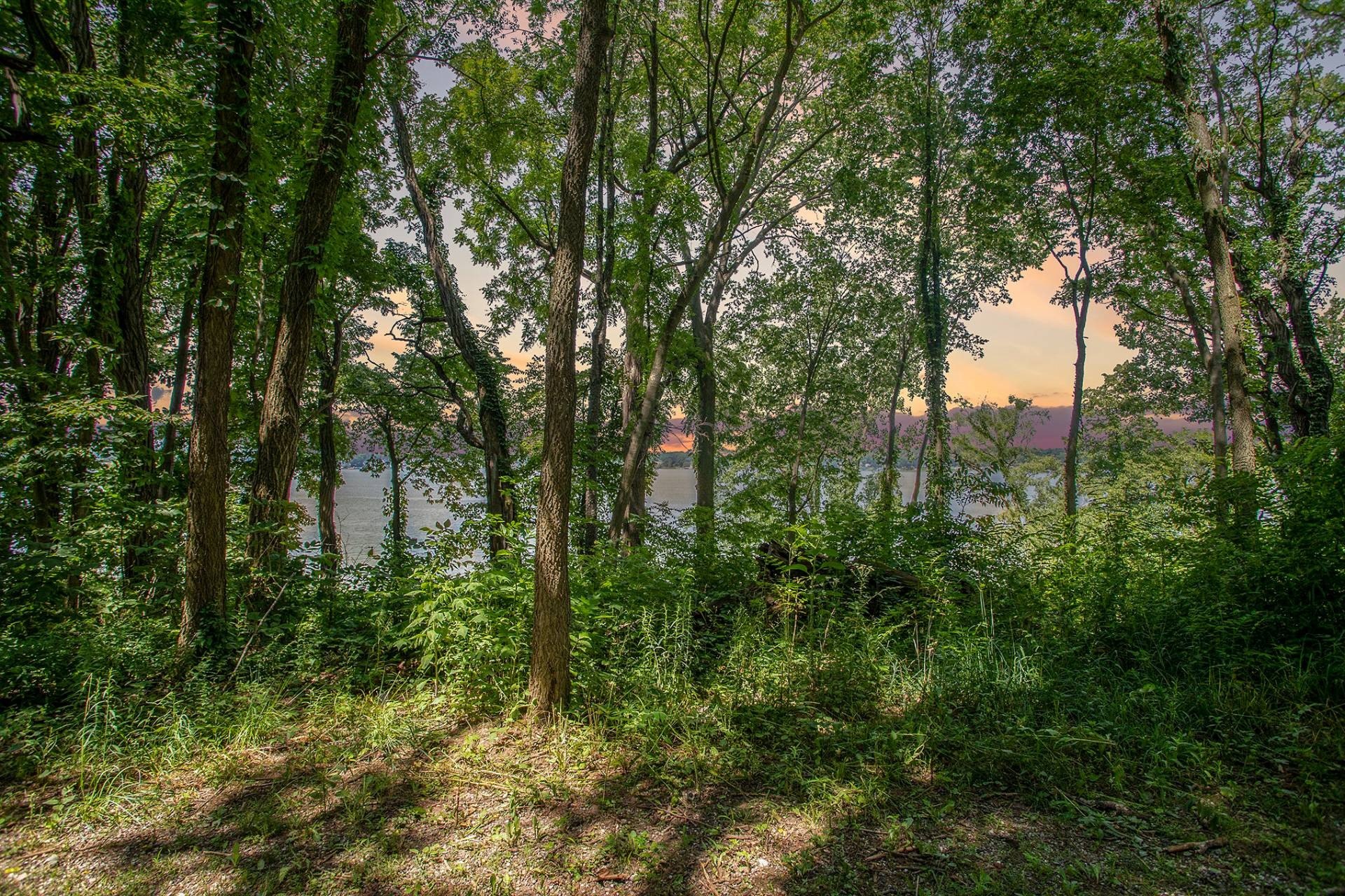 Dowagiac Waterfront Land Opportunity