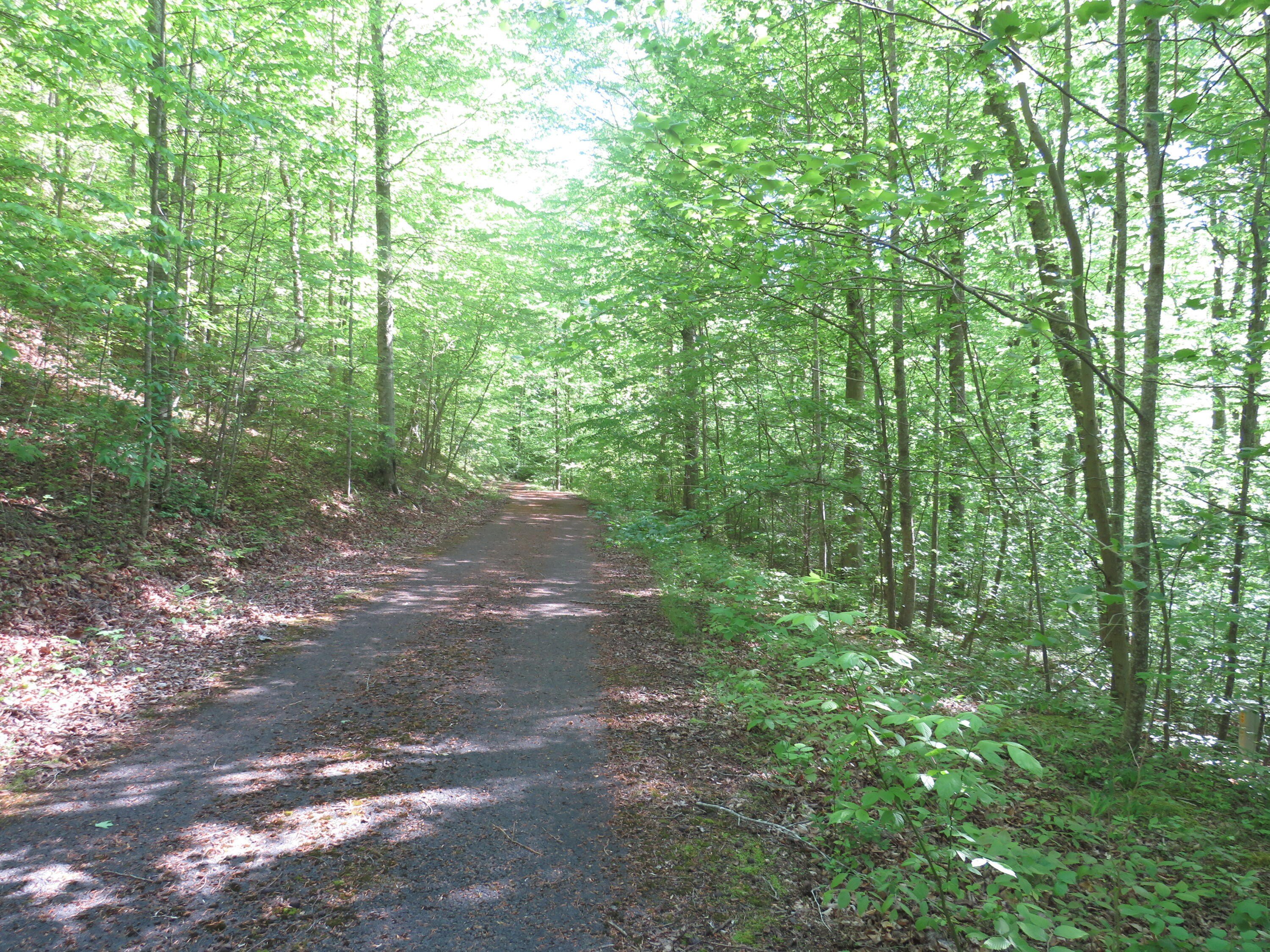 Land in Russell Springs, KY