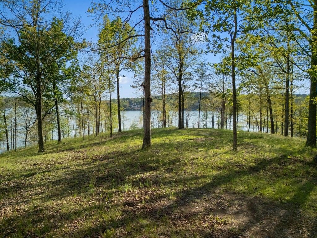 Picture 3