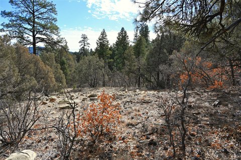 Tierra Amarilla Off-Grid Land