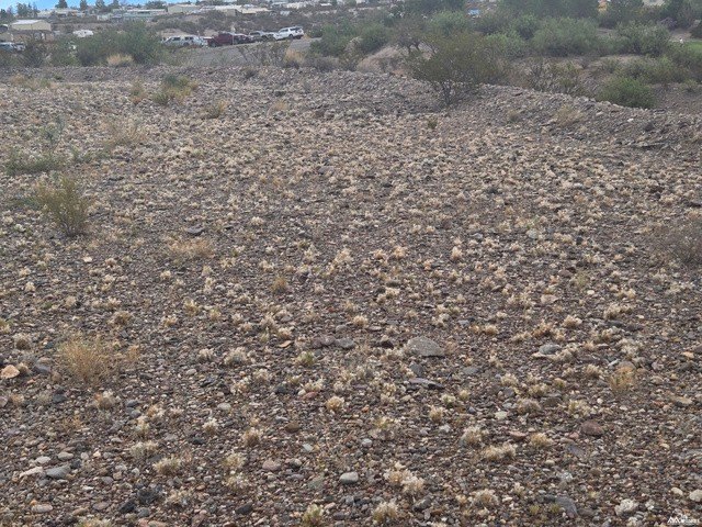 Picture 11
