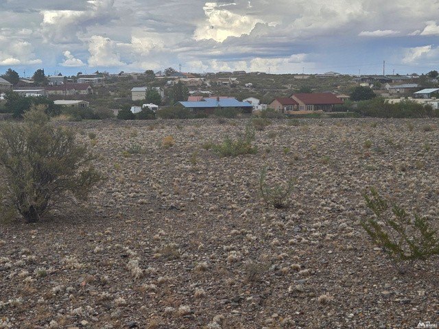 Picture 14