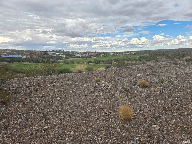 Picture 6
