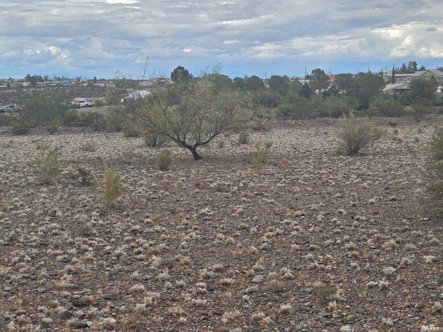 Picture 15