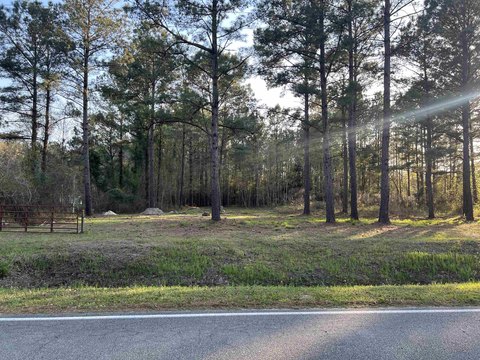 Land Near Waccamaw River
