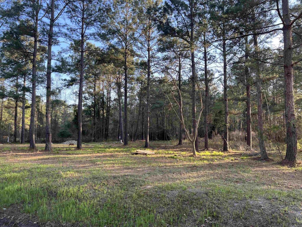 Picture 3