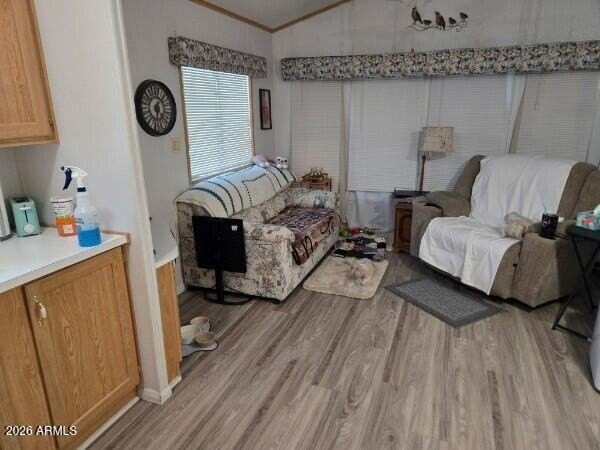 Picture 8