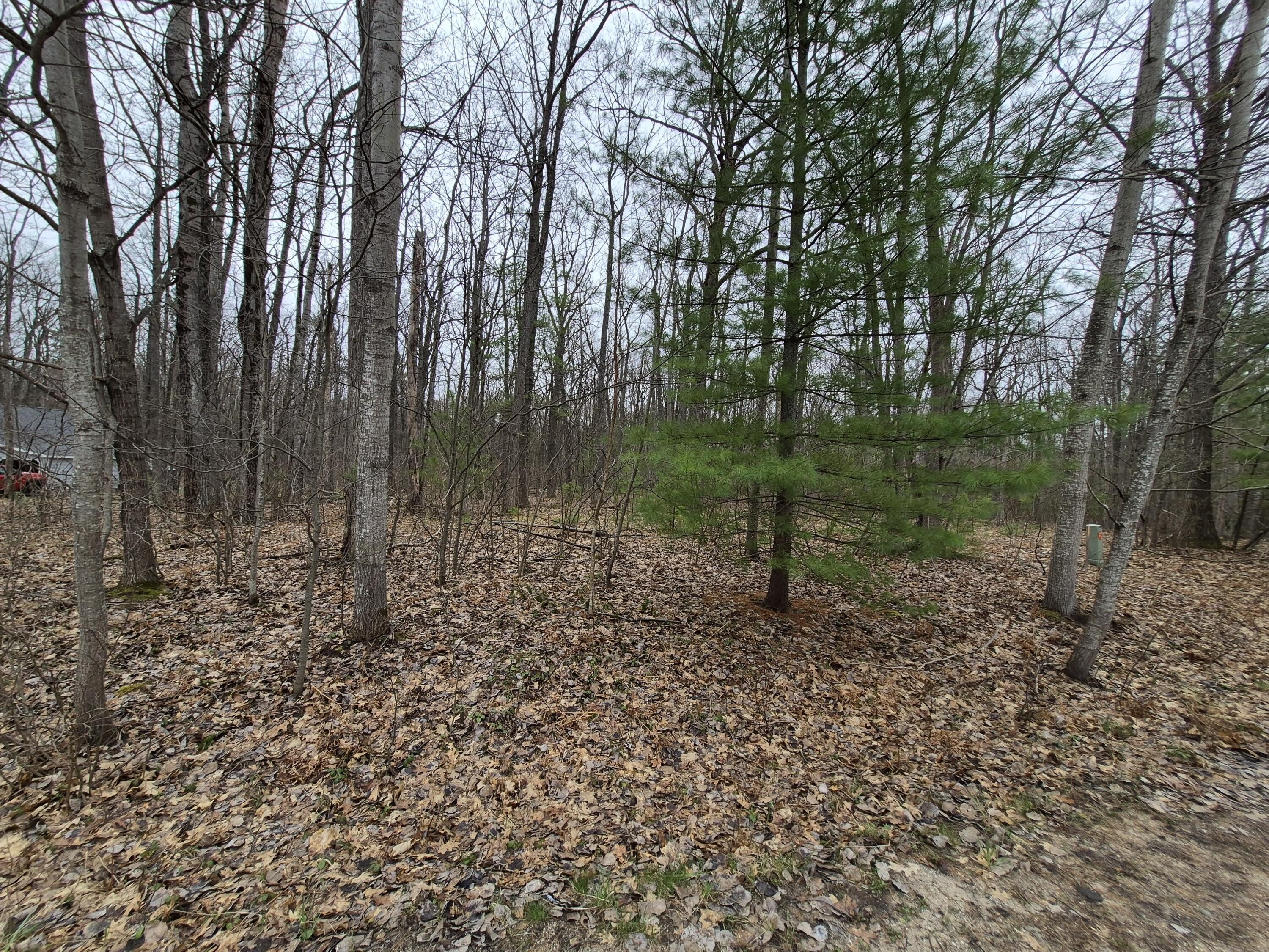 Residential Land in Roscommon, MI