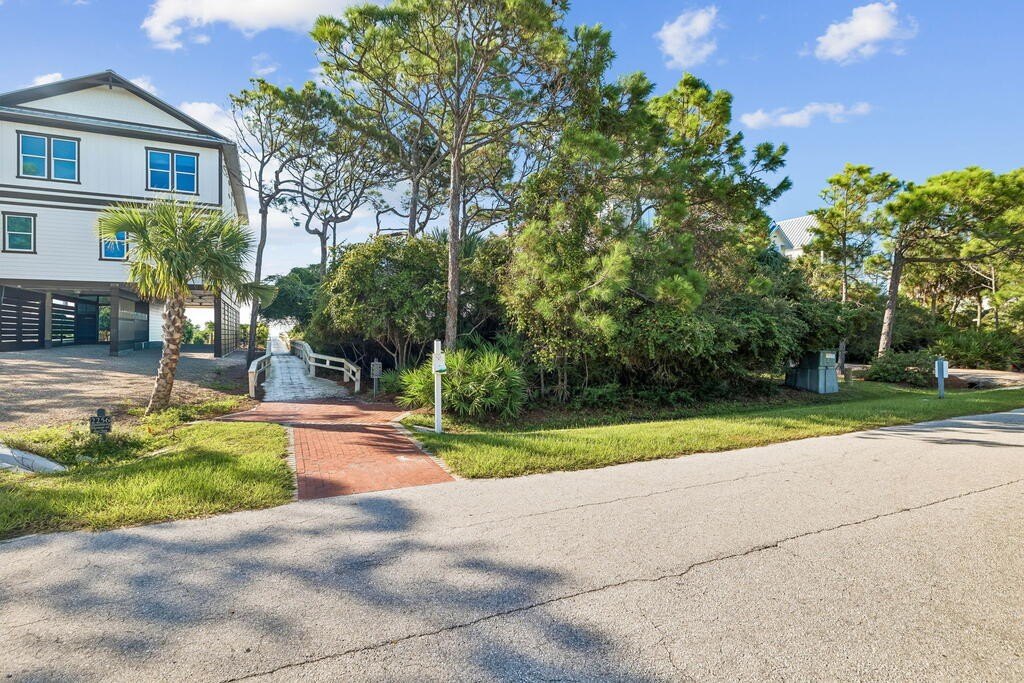 Picture 30