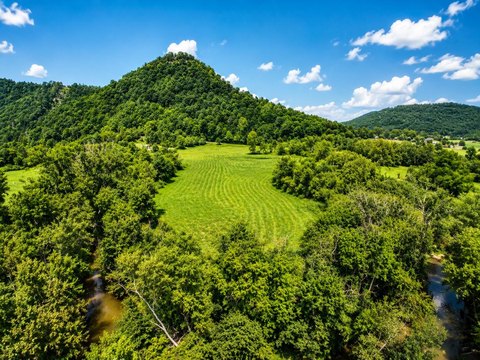 Wooded Mountain Land