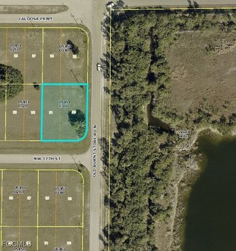 LAND - Cape Coral, FL