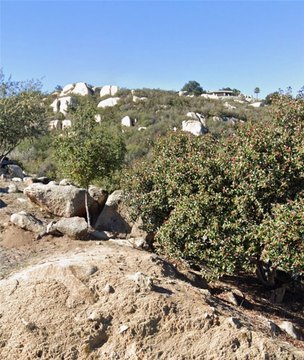 Land, Murrieta, CA