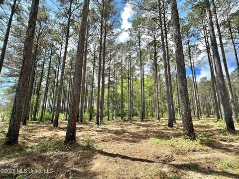 LAND - Canton, MS