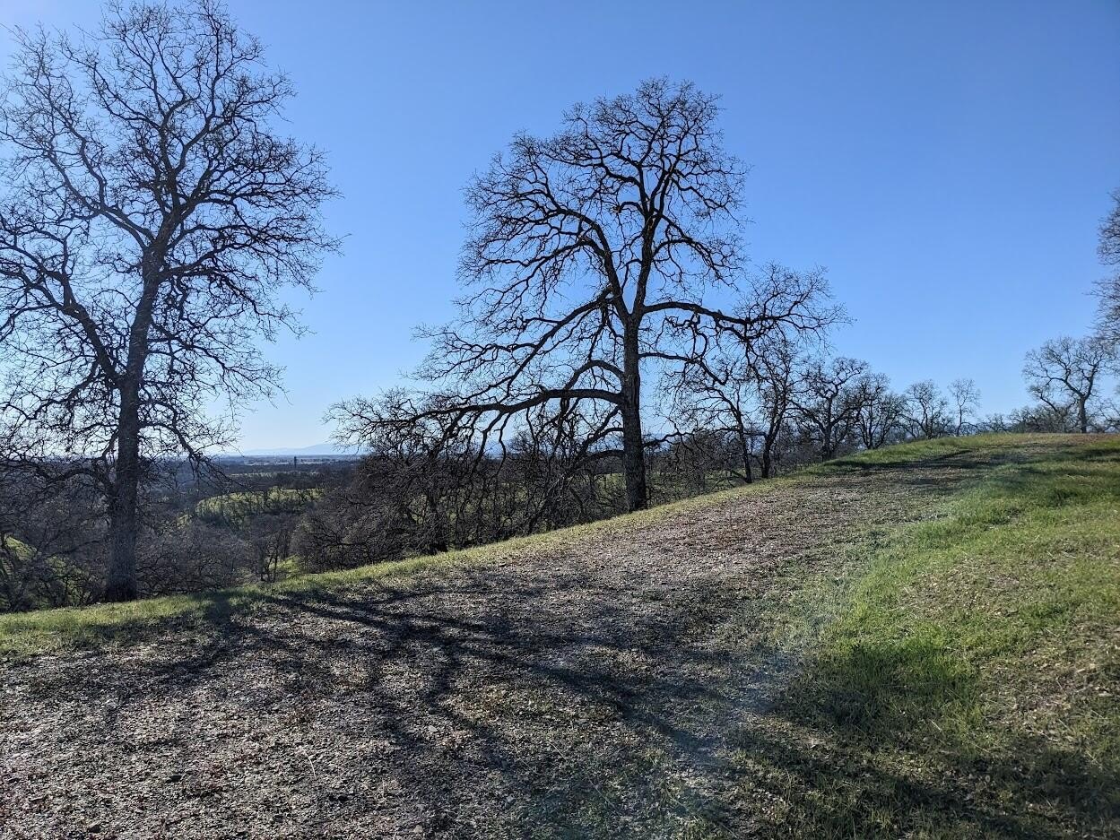 66 Acres in Rolling Hills