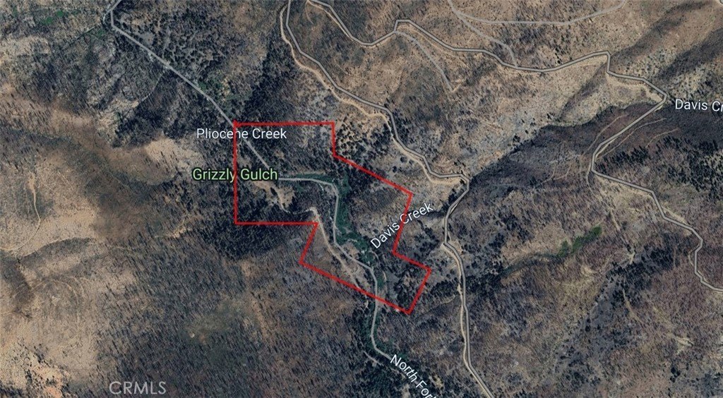 59 Acres Patented Gold Mine