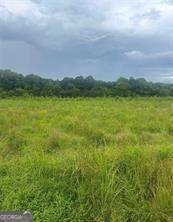 Ranger, GA Land Opportunity