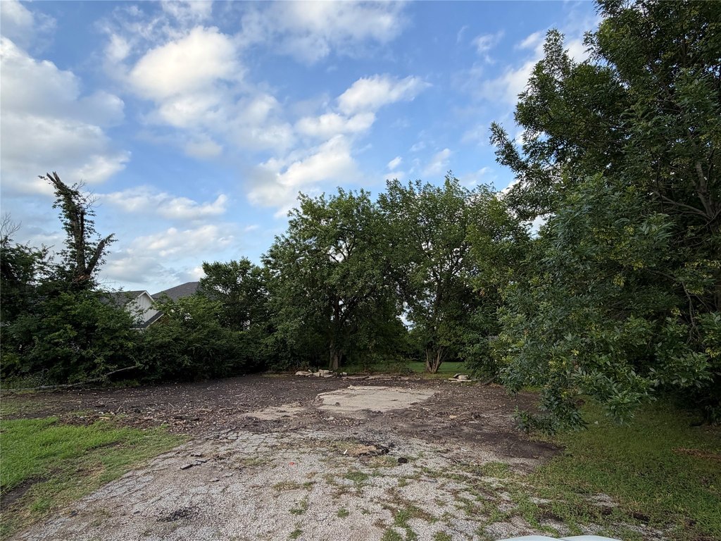 Picture 13