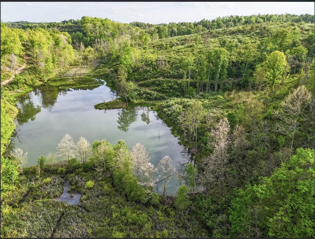 Picture 22