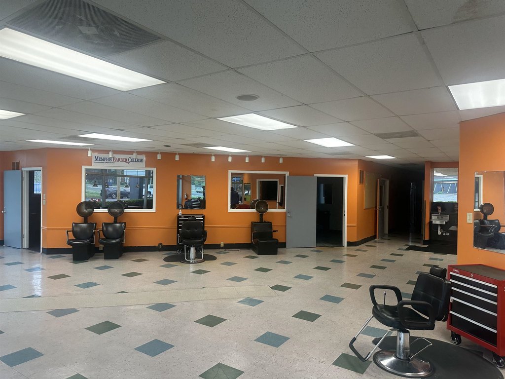 Picture 5