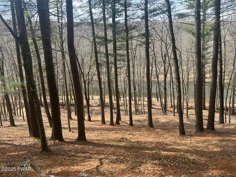 River View Building Site