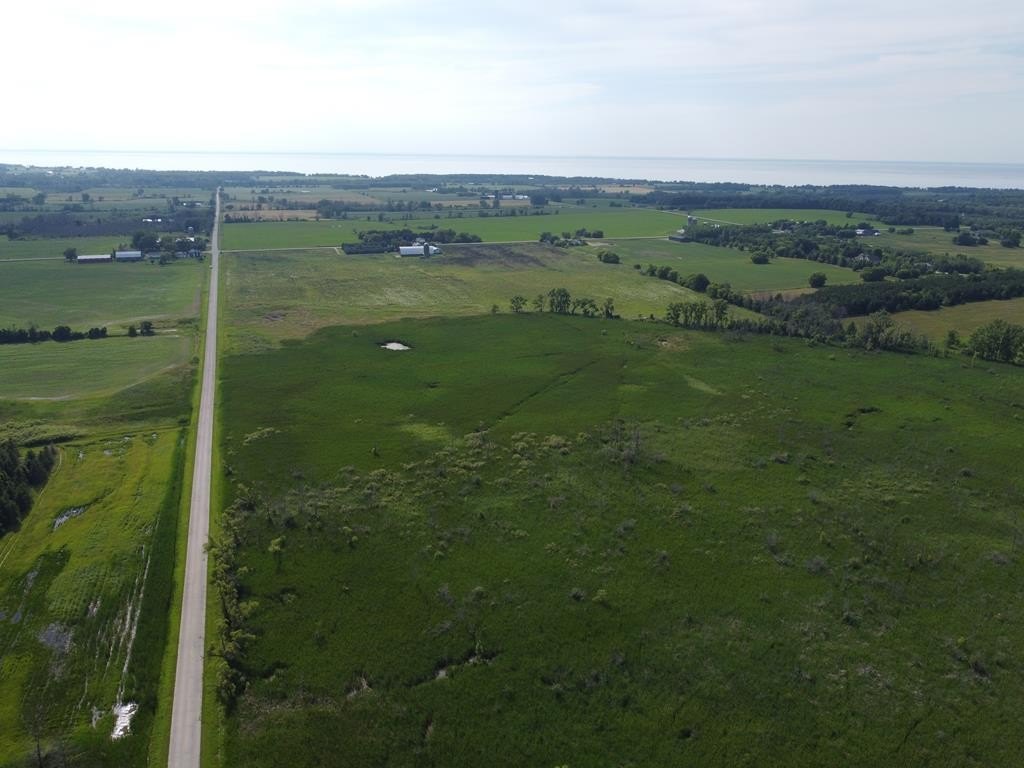 40 Acres of Hunting Land