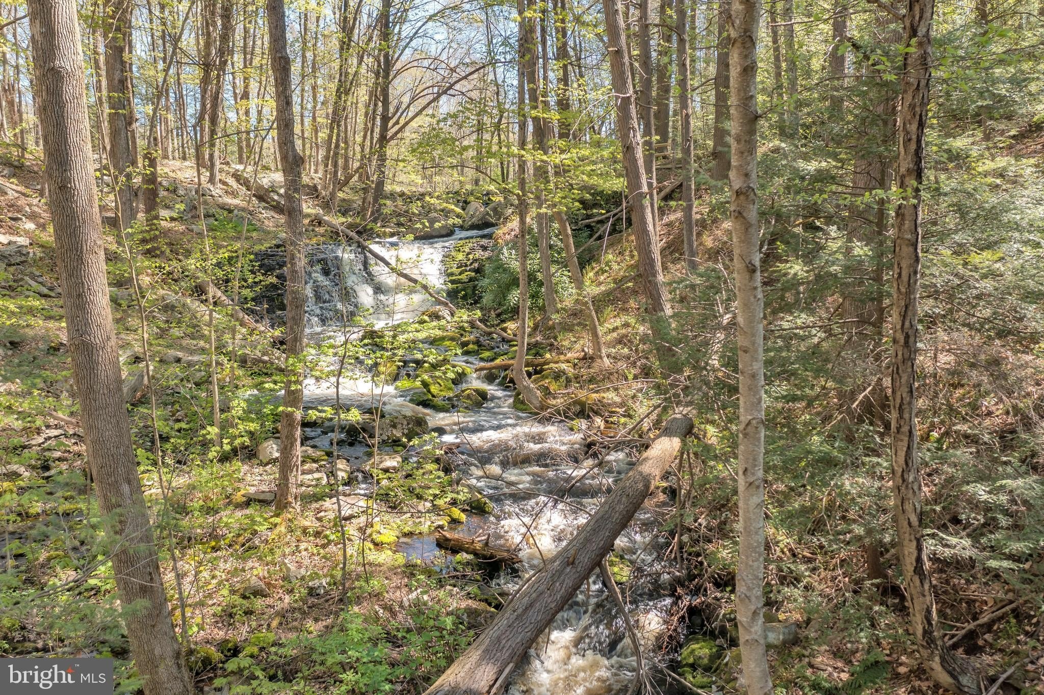 Serene Land with Waterfall
