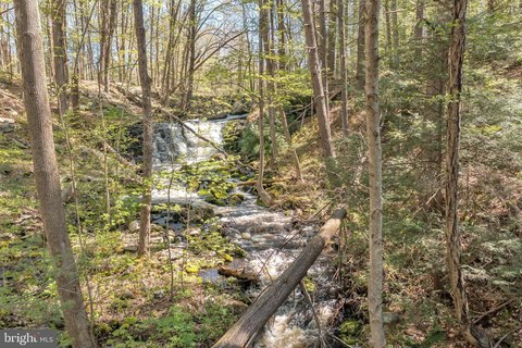 Serene Land with Waterfall