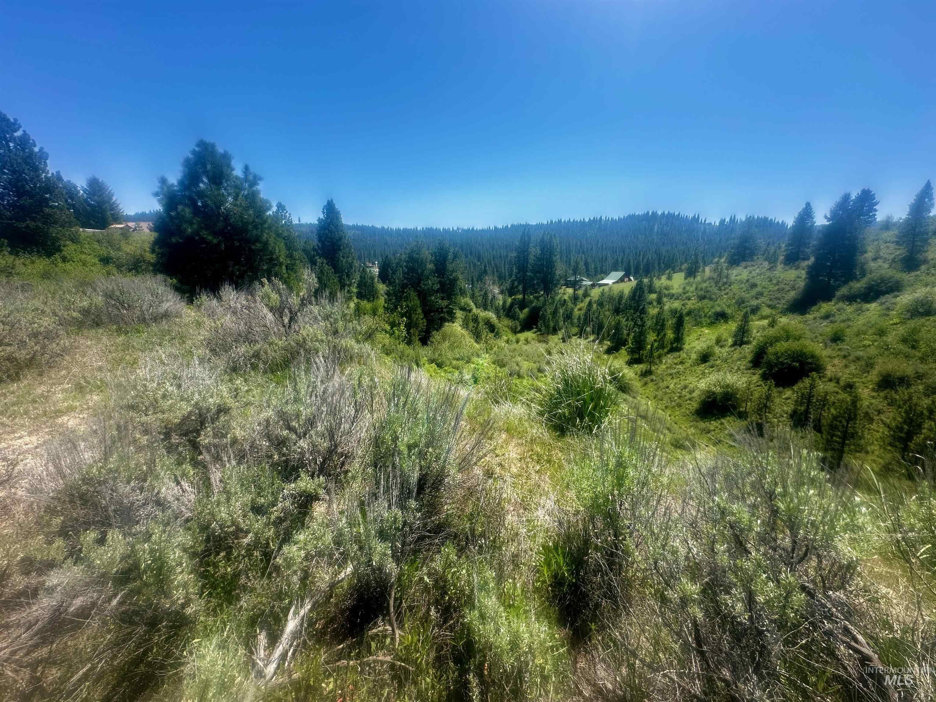 Boise National Forest Acreage