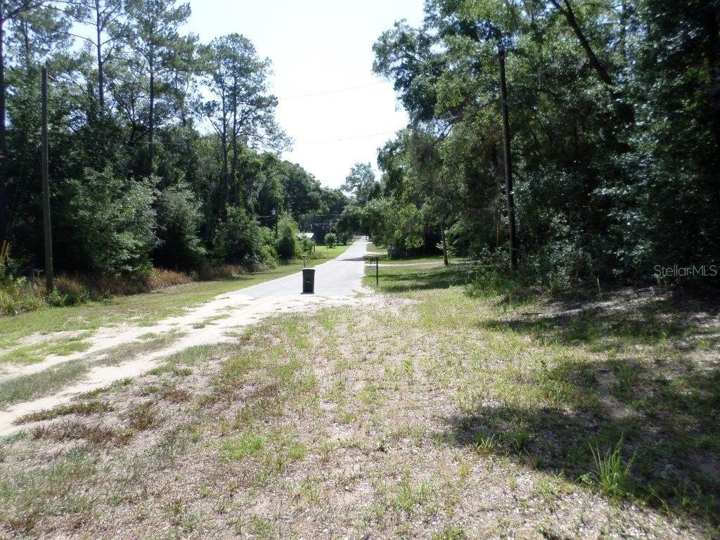 Picture 5