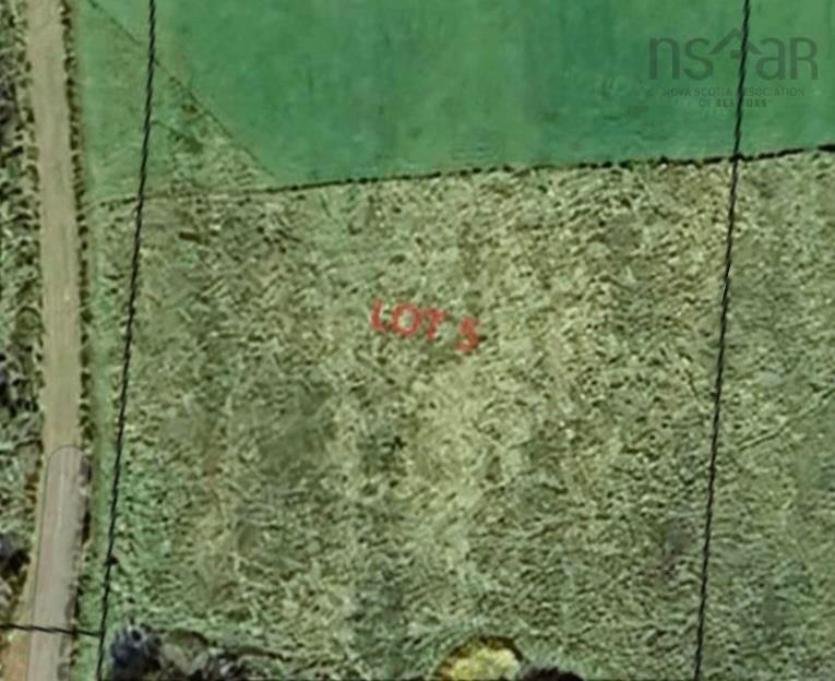 Picture 5