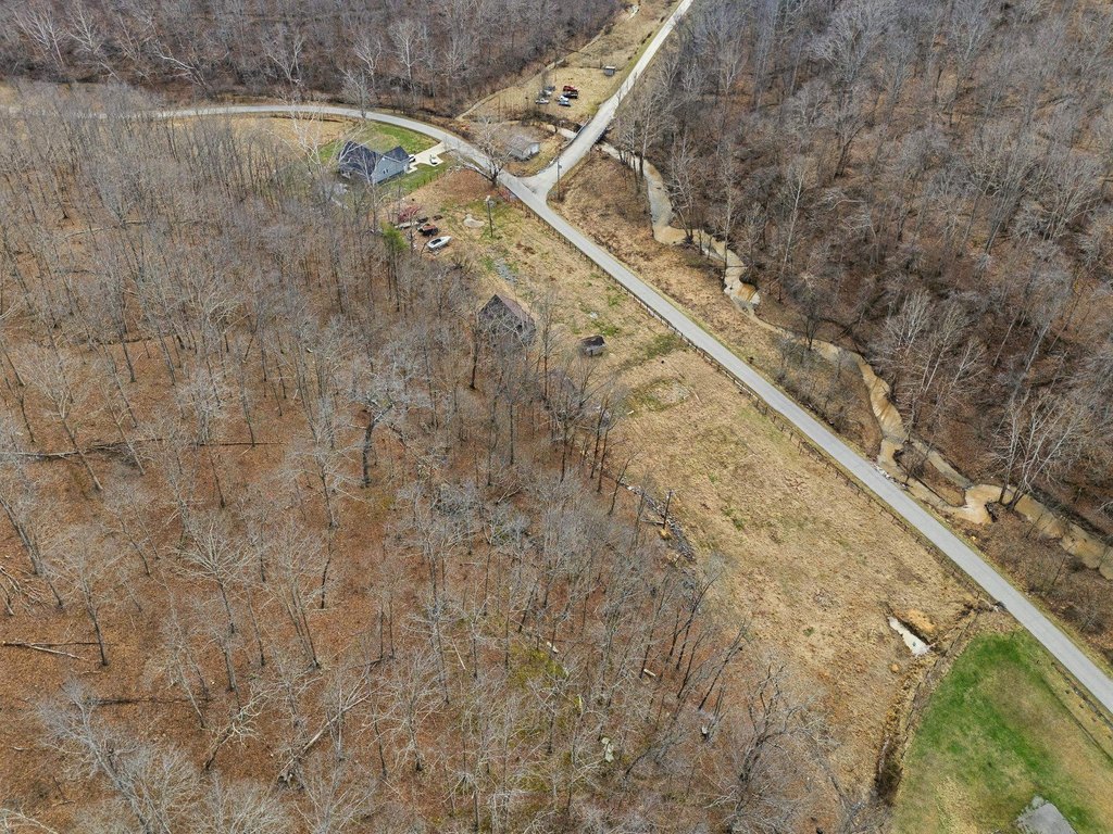 Picture 12