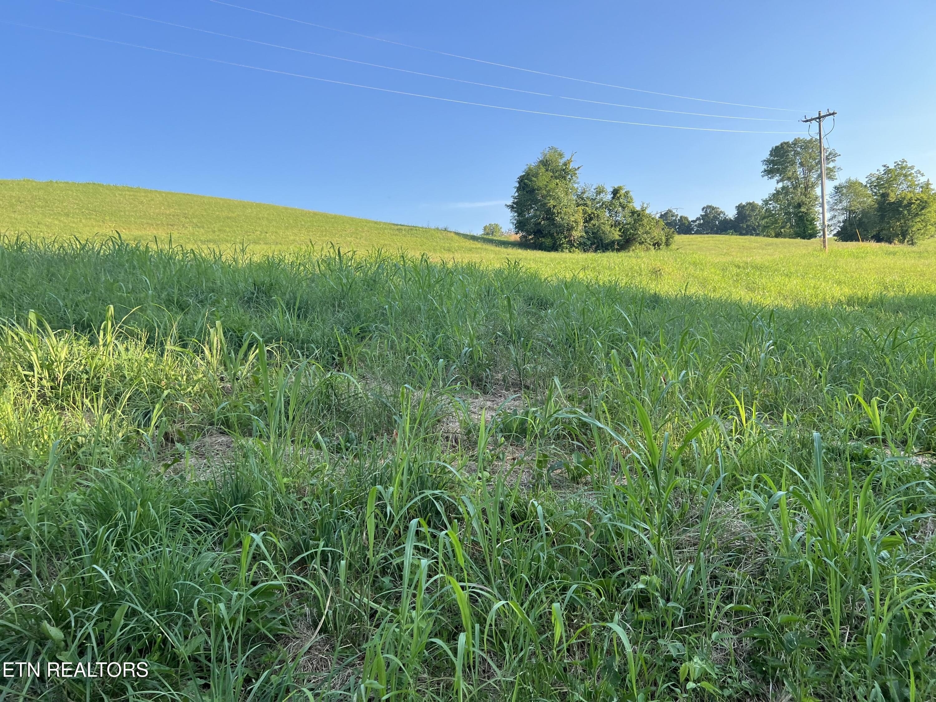 Byrdstown, TN Land Opportunity