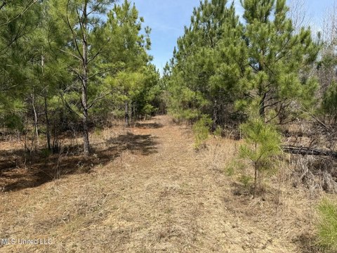 Newton County Land For Sale