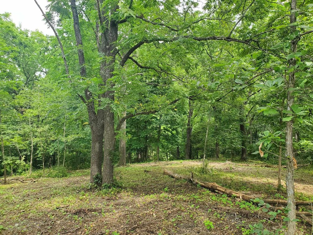 Picture 6