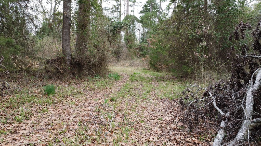 Picture 17