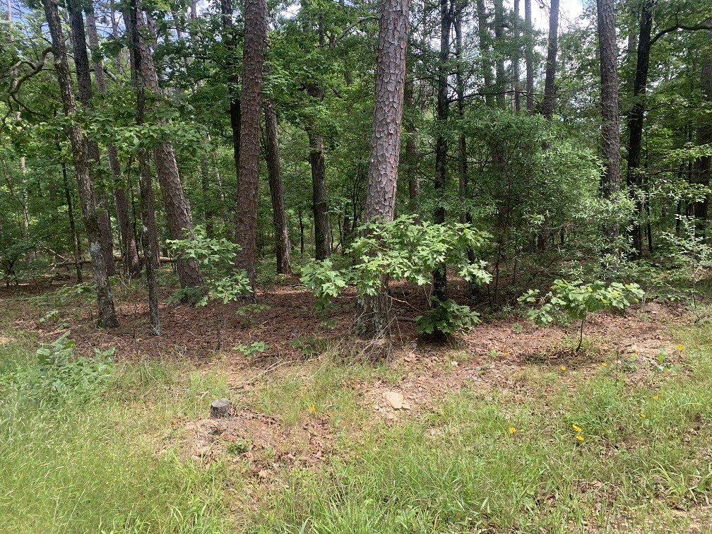 Picture 7
