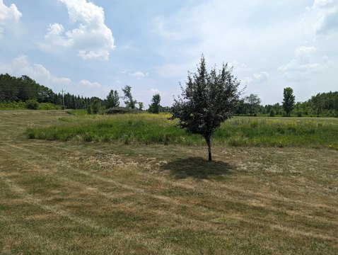 Residential Lot Near Geneva Golf