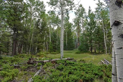 Colorado Mountain Land with Water