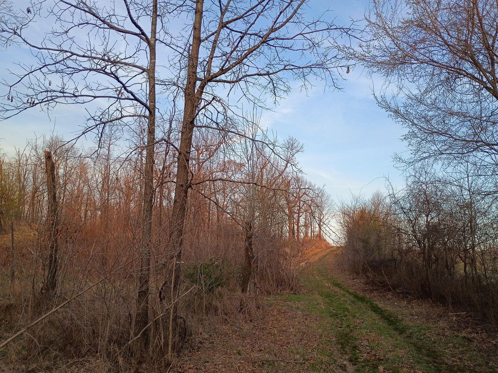 Picture 10