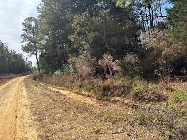 Picture 6
