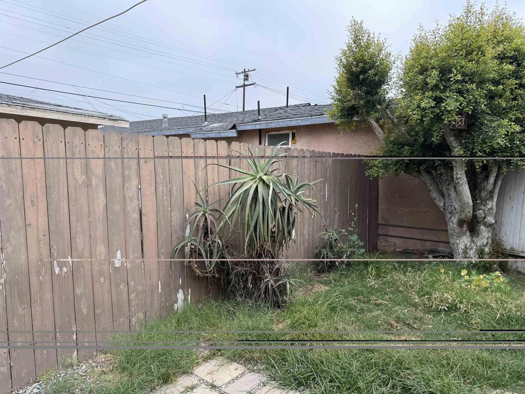 Picture 23