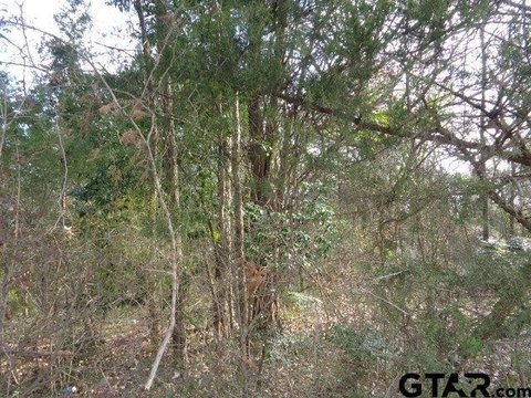 Waterfront Recreational Land Tract