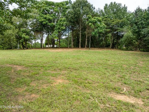 Residential Land in Louisville, TN