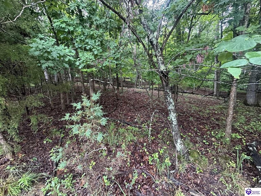 Picture 3
