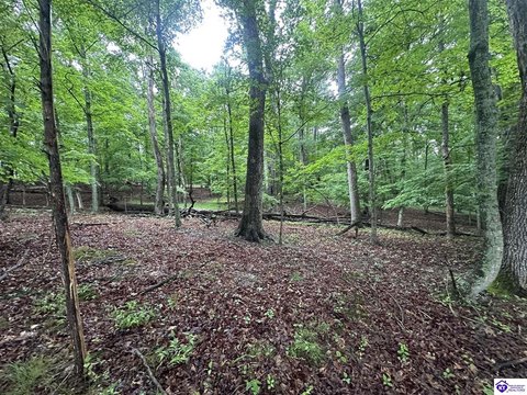 LAND - Brandenburg, KY